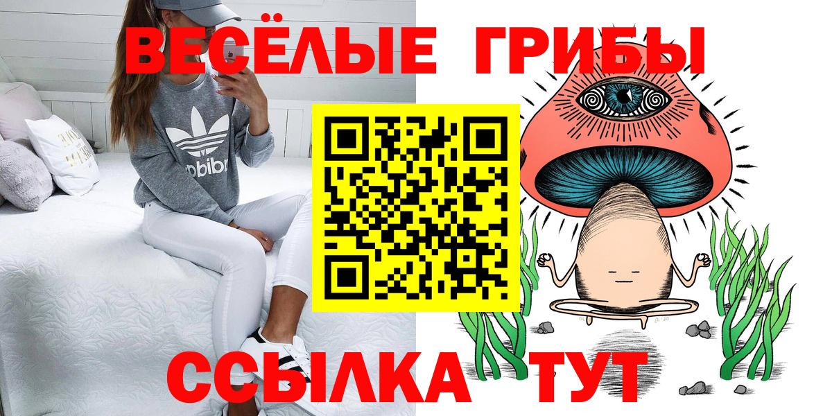 Чебаркуль  Псилоцибиновые грибы GOLDEN TEACHER  Вход с VPN  Галлюциногенные грибы мицелий 