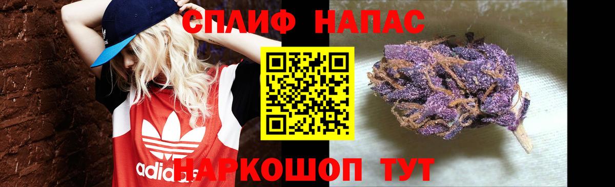 Конопля гибрид Чебаркуль